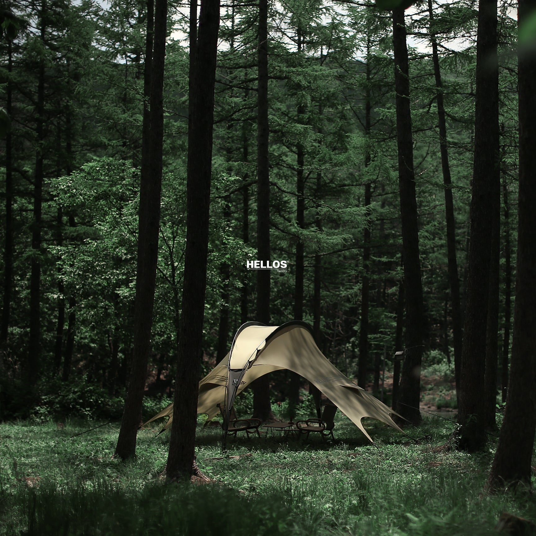 HELLOS | Dragonfly Tarp – Haven Camp