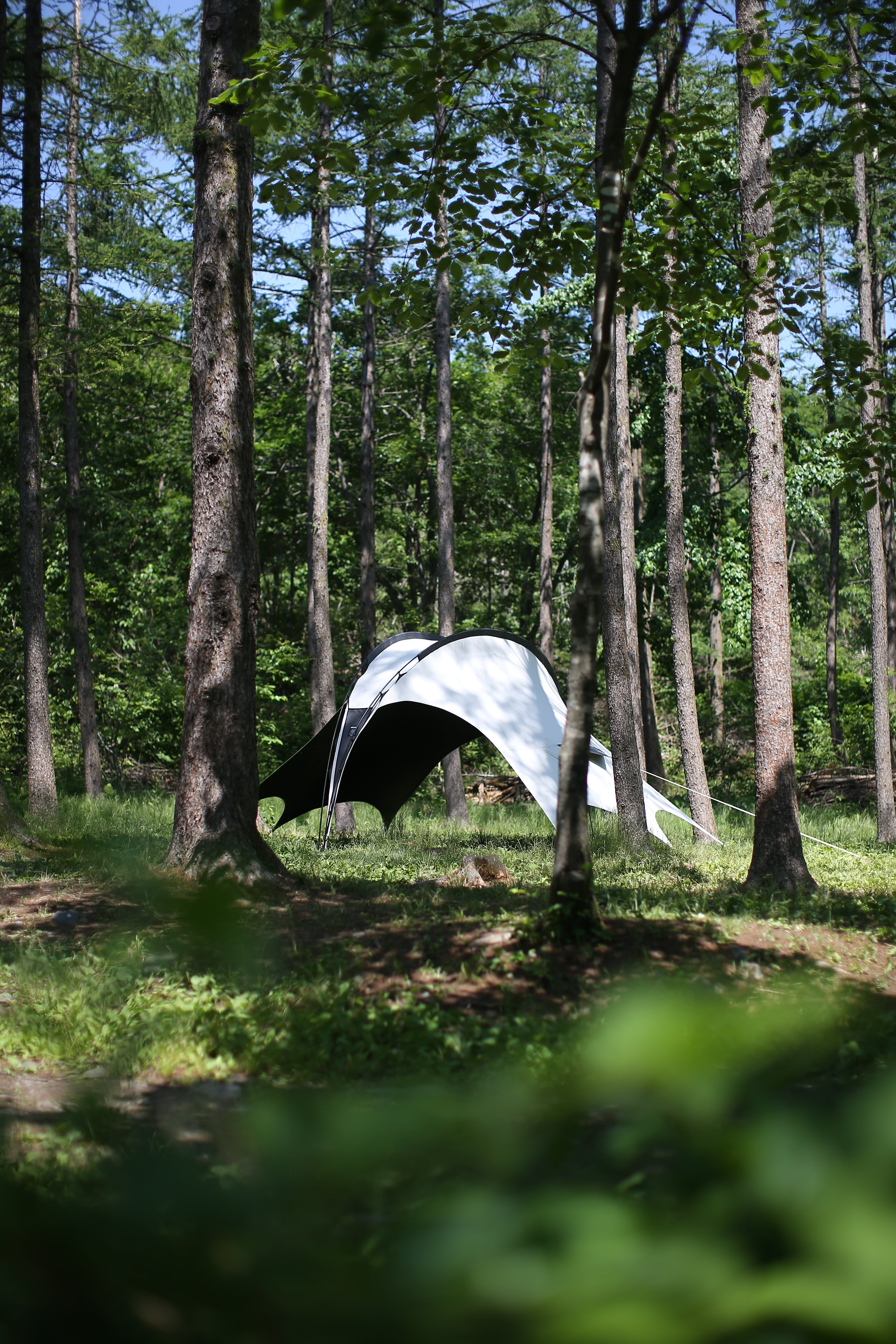 HELLOS | Dragonfly Tarp