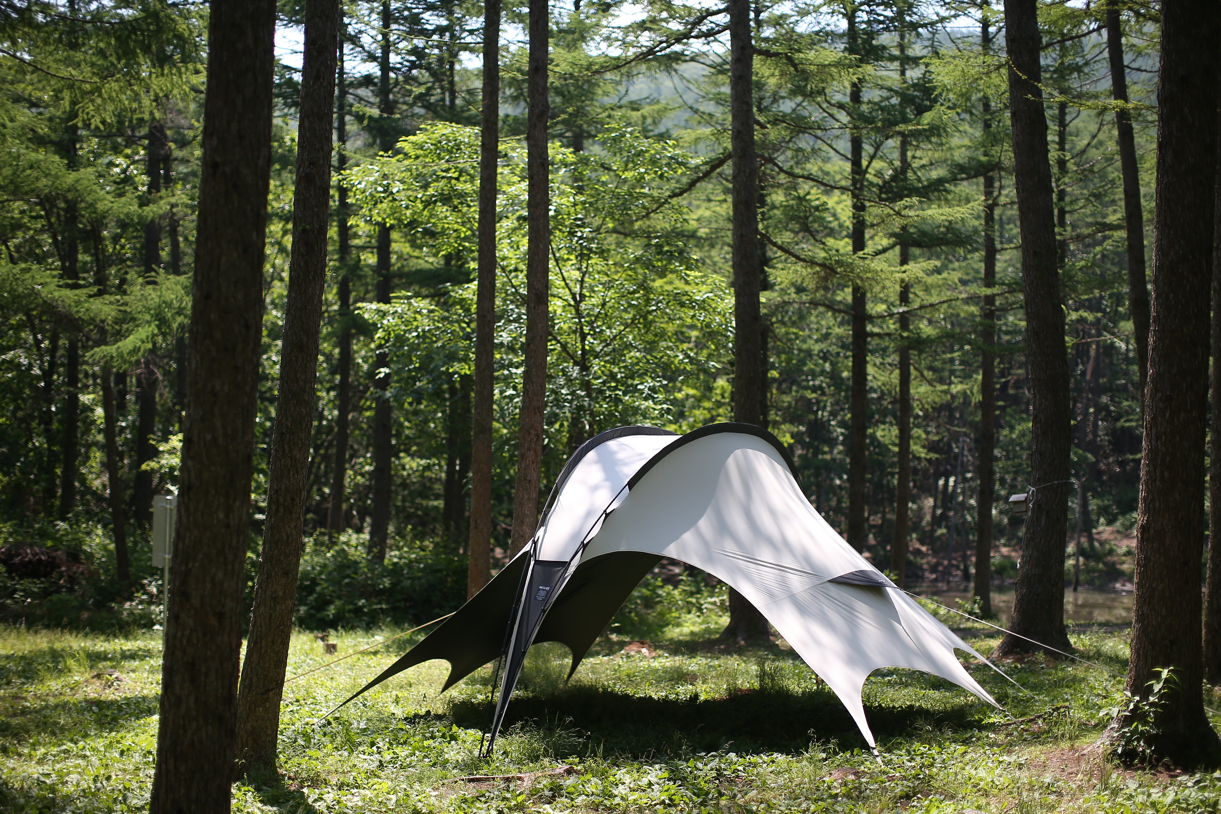 HELLOS | Dragonfly Tarp – Haven Camp