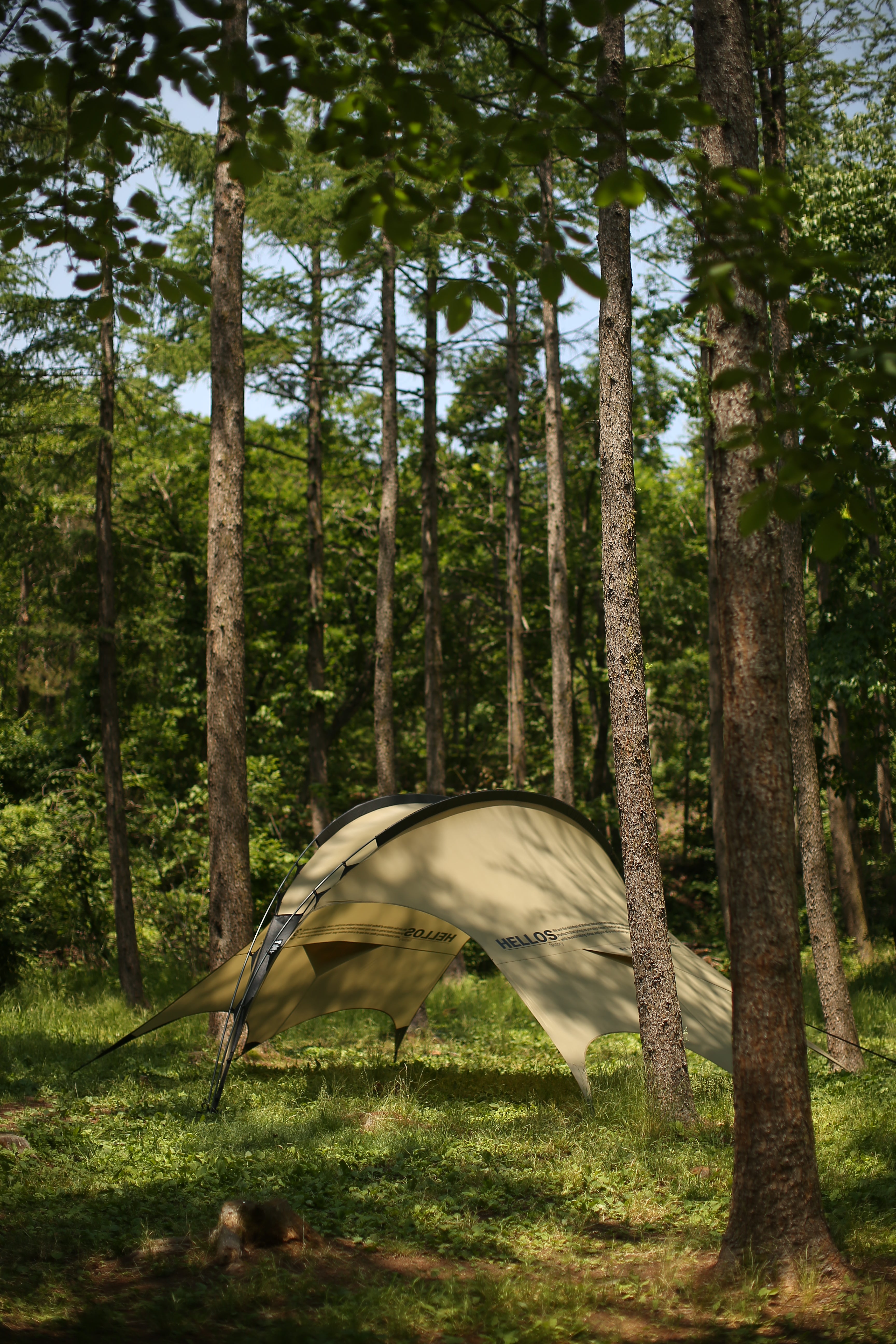 HELLOS | Dragonfly Tarp – Haven Camp